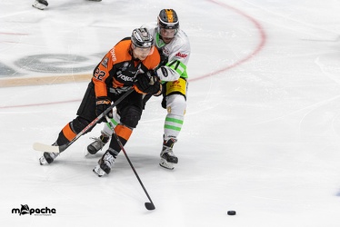 Löwen Frankfurt - Bietigheim Steelers - 29.04.21 - 083