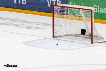 Löwen Frankfurt - Bietigheim Steelers - 29.04.21 - 099