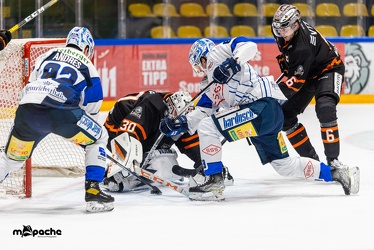 Löwen Frankfurt - Dresdner Eislöwen - 18.1.22 - 065