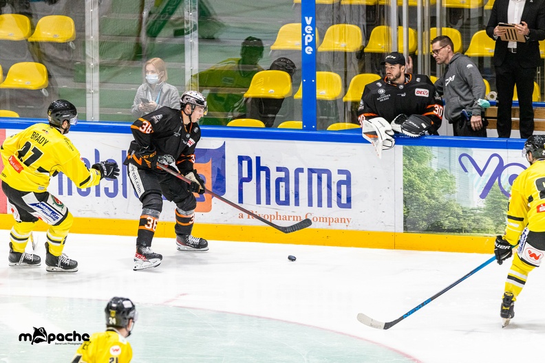 Löwen Frankfurt - Tölzer Löwen - 21.1.22 - 050.jpg