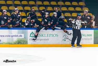 Löwen Frankfurt - Bayreuth Tigers - 1.2.22 - 030