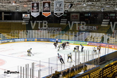 Löwen Frankfurt - Bayreuth Tigers - 1.2.22 - 046
