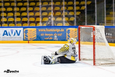 Löwen Frankfurt - Bayreuth Tigers - 1.2.22 - 074