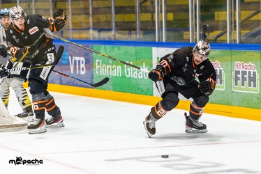 Löwen Frankfurt - Bayreuth Tigers - 1.2.22 - 076