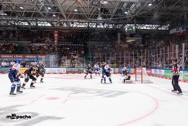 Vorbereitung - Löwen Frankfurt - Adler Mannheim - 12.8.22-70