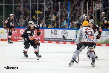 Löwen Frankfurt - Fischtown Pinguins - 18.9.22 - 112