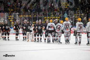 Löwen Frankfurt - Fischtown Pinguins - 18.9.22 - 119