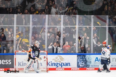 Löwen Frankfurt - EHC Red Bull München - 30.9.22 - 137