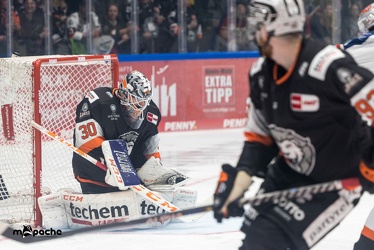 Löwen Frankfurt - Nürnberg Ice Tigers - 7.10.22 - 066