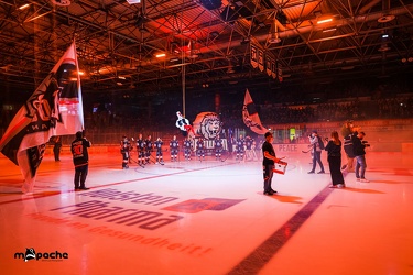 Löwen Frankfurt - Schweninger Wildwings - 30.10.22 - 018