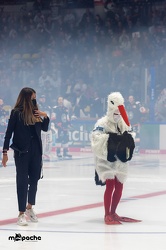 Löwen Frankfurt - Schweninger Wildwings - 30.10.22 - 020