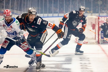 Löwen Frankfurt - Schweninger Wildwings - 30.10.22 - 023