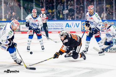Löwen Frankfurt - Schweninger Wildwings - 30.10.22 - 042
