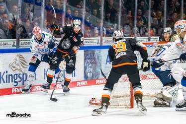 Löwen Frankfurt - Schweninger Wildwings - 30.10.22 - 054