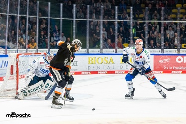 Löwen Frankfurt - Schweninger Wildwings - 30.10.22 - 065