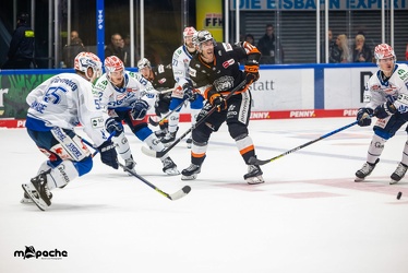 Löwen Frankfurt - Schweninger Wildwings - 30.10.22 - 066