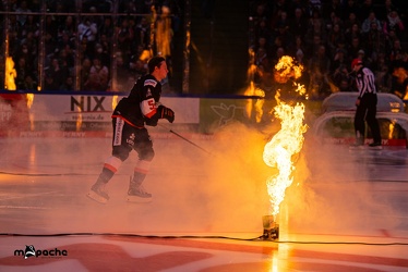 Löwen Frankfurt - Fishtown Pinguins - 20.11.22 - 020