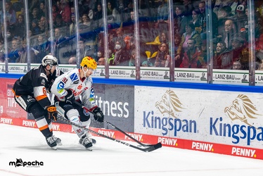 Löwen Frankfurt - Fishtown Pinguins - 20.11.22 - 041