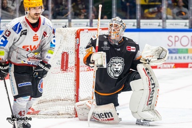 Löwen Frankfurt - Fishtown Pinguins - 20.11.22 - 120