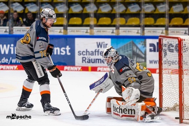 Löwen Frankfurt - Straubing Tigers - 24.11.22 - 014