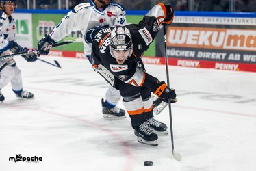 Löwen Frankfurt - Straubing Tigers - 24.11.22 - 043