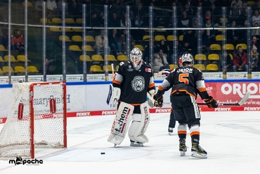 Löwen Frankfurt - Straubing Tigers - 24.11.22 - 054