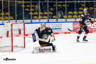 Löwen Frankfurt - Straubing Tigers - 24.11.22 - 057