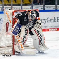 Löwen Frankfurt - Straubing Tigers - 24.11.22 - 060