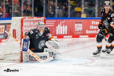 Löwen Frankfurt - Straubing Tigers - 24.11.22 - 071