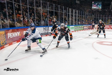 Löwen Frankfurt - Straubing Tigers - 24.11.22 - 073