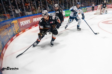 Löwen Frankfurt - Straubing Tigers - 24.11.22 - 075