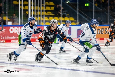 Löwen Frankfurt - Straubing Tigers - 24.11.22 - 099