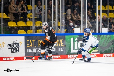 Löwen Frankfurt - Straubing Tigers - 24.11.22 - 105