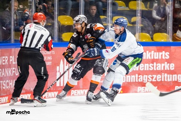 Löwen Frankfurt - Straubing Tigers - 24.11.22 - 109