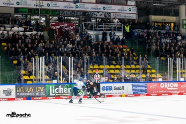 Löwen Frankfurt - Straubing Tigers - 24.11.22 - 124