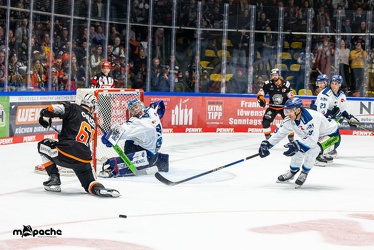 Löwen Frankfurt - Straubing Tigers - 24.11.22 - 128