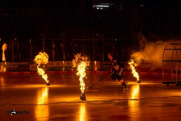 Löwen Frankfurt - Bietigheim Steelers - 9.12.22 - 022