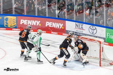 Löwen Frankfurt - Bietigheim Steelers - 9.12.22 - 075