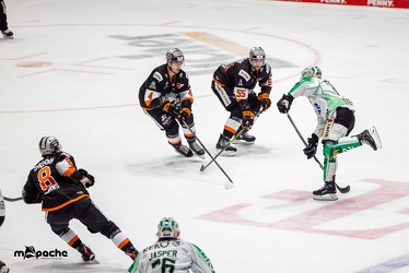 Löwen Frankfurt - Bietigheim Steelers - 9.12.22 - 099