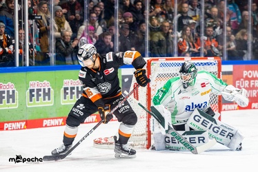 Löwen Frankfurt - Bietigheim Steelers - 9.12.22 - 114
