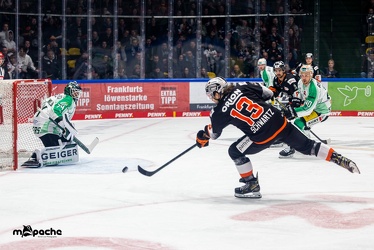 Löwen Frankfurt - Bietigheim Steelers - 9.12.22 - 122