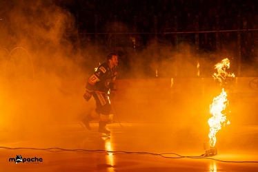 Löwen Frankfurt - Nürnberg Ice Tigers - 20.12.22 - 019