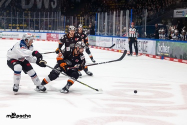 Löwen Frankfurt - Nürnberg Ice Tigers - 20.12.22 - 050