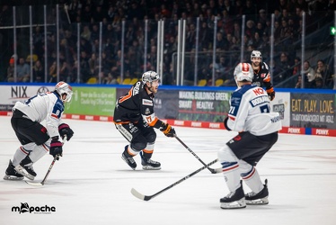 Löwen Frankfurt - Nürnberg Ice Tigers - 20.12.22 - 081