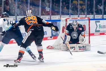 Löwen Frankfurt - ERC Ingolstadt - 23.12.22 - 021
