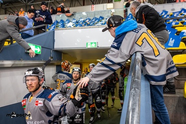 Löwen Frankfurt - Kölner Haie - 28.2.23 - 003