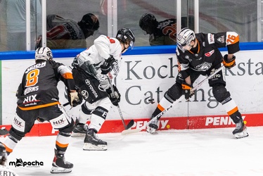 Löwen Frankfurt - Kölner Haie - 28.2.23 - 054