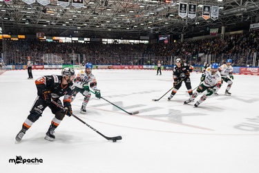 Löwen Frankfurt - Augsburger Panther- 5.3.23 - 072