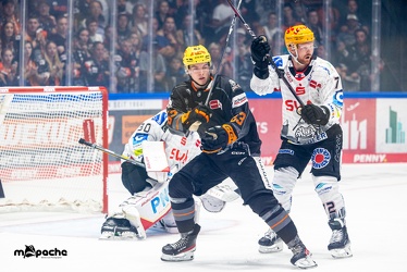 Löwen Frankfurt - Fischtown Pinguins - 21.9.23 - 048