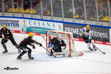 Löwen Frankfurt - Fischtown Pinguins - 21.9.23 - 071